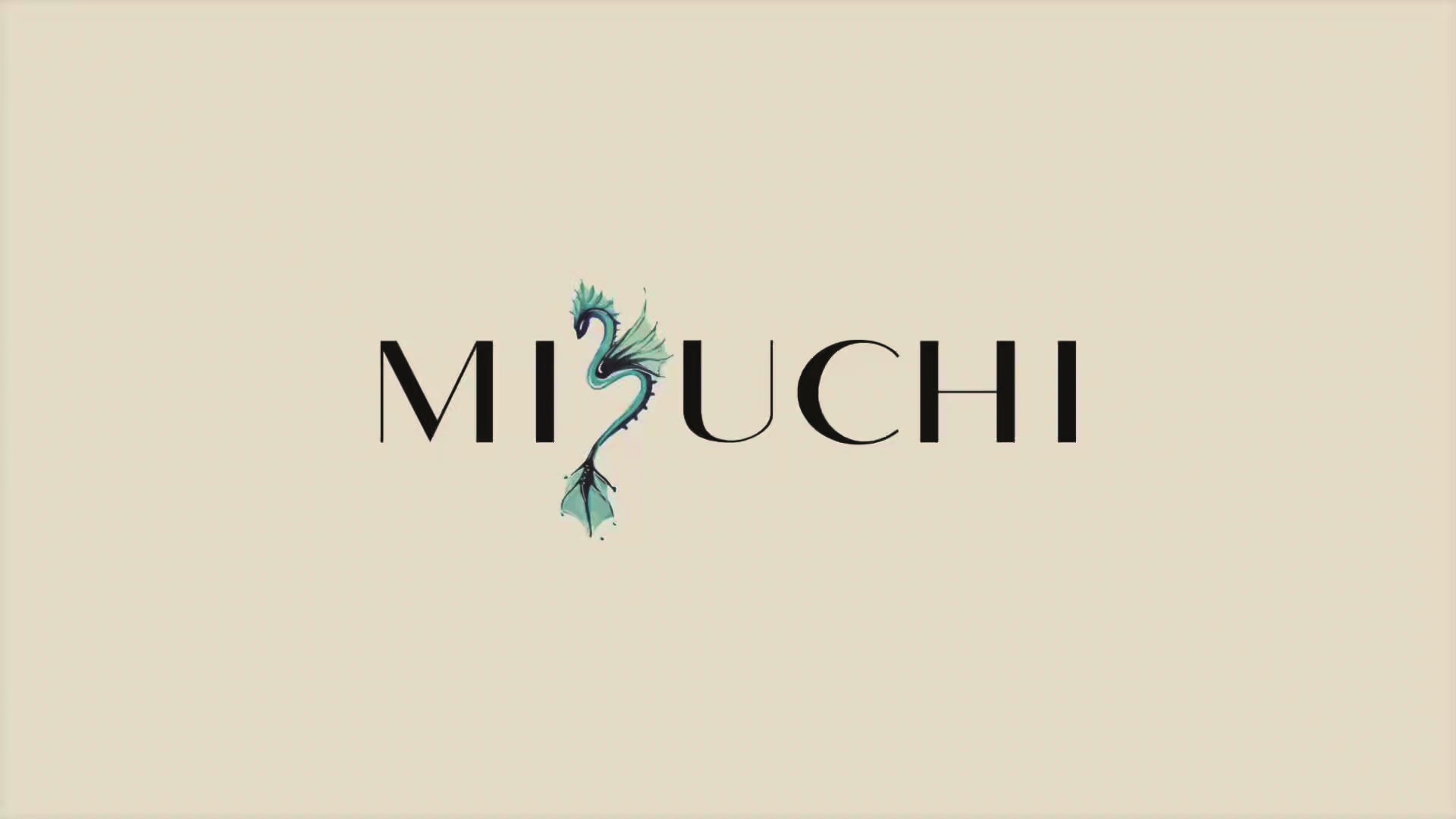 Load video: mizuchi_storevid