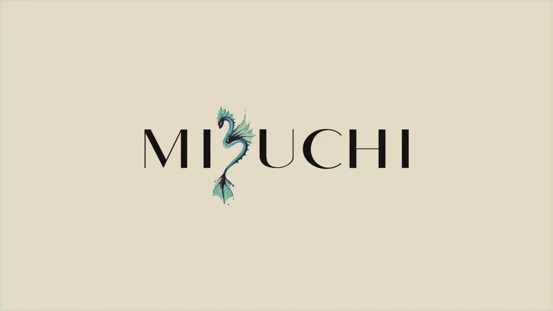 mizuchi_storevid